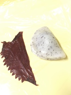 2016-07-17 10.02.14-1