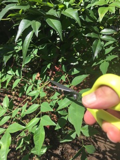 16-10-23%e8%b5%a4%e9%a3%af%ef%bc%93