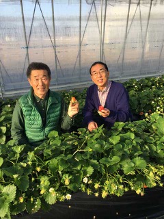 16-12-21%e6%9f%b3%e6%b2%a2%e3%81%95%e3%82%93%e3%81%a8